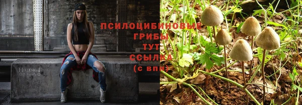эйфоретик Лихославль