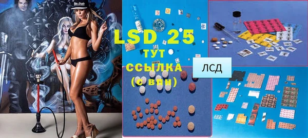 амф Липки