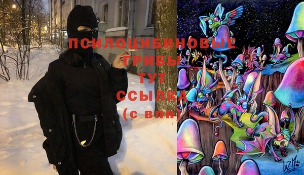 амф Липки